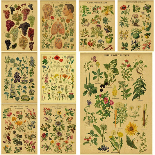 Botanical Retro Poster Vintage Herbs Prints DIY Medicinal Plants Flower Aesthetic Home Room Cafe Kitchen Art Wall Decor Painting